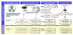 Propagation and Pitfalls: Reasoning-based Assessment of Knowledge Editing through Counterfactual Tasks